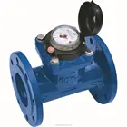 Irrigation dry type woltman cold(hot) flow meter water