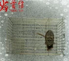 Control Animal Rat Cage Trap Pest Control Galvanized Metal Live Animal Catcher Mouse Rat Humane Cage Trap