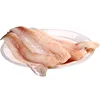 /product-detail/iqf-frozen-fresh-alaska-pollock-fish-fillet-62007420247.html