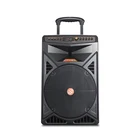 2019 Wireless Trolley Speaker 15 Inch Best Rechargeable Portable Speaker Stage Speaker Box With Bluetooth For Party