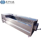 New design potato washing and peeling machine for sale