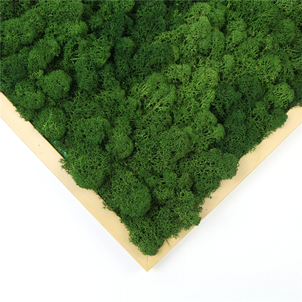 wholesale pure color preserved moss framed for indoor wall