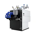 WNS Series Stainless Steel Oil Gas Fired Hot Water Boiler Tube Tank