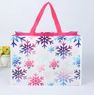 Pp- Non woven Gift Bag with Short Long Handles