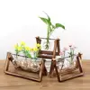 Home artificial desktop decoration tube/buld Glass planter Glass vase with metal stand/wood stand base
