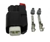 2 Pin Molex EV6 Fuel Injector Connector Kit with Terminals Seals Hot Rod wiring Factory supply