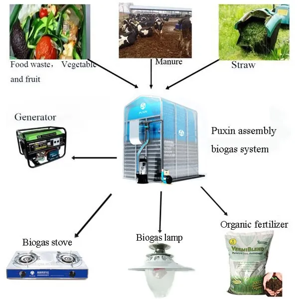 chinese mini biogas plant for organic waste/food waste/animal