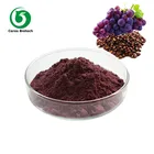 Factory Supply Grape Seed Extract OPC 95%