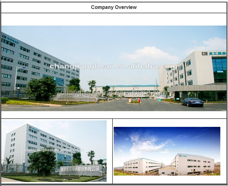 Company Overview 1.jpg