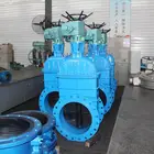 manufactures cast iron flexible wedge gate valve