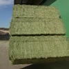 /product-detail/mix-of-alfalfa-and-wheat-straw-134319703.html