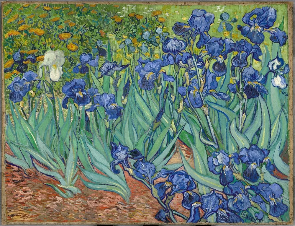 van gogh painting irises