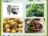 /product-detail/automatic-olive-pit-remove-machine-60054886964.html