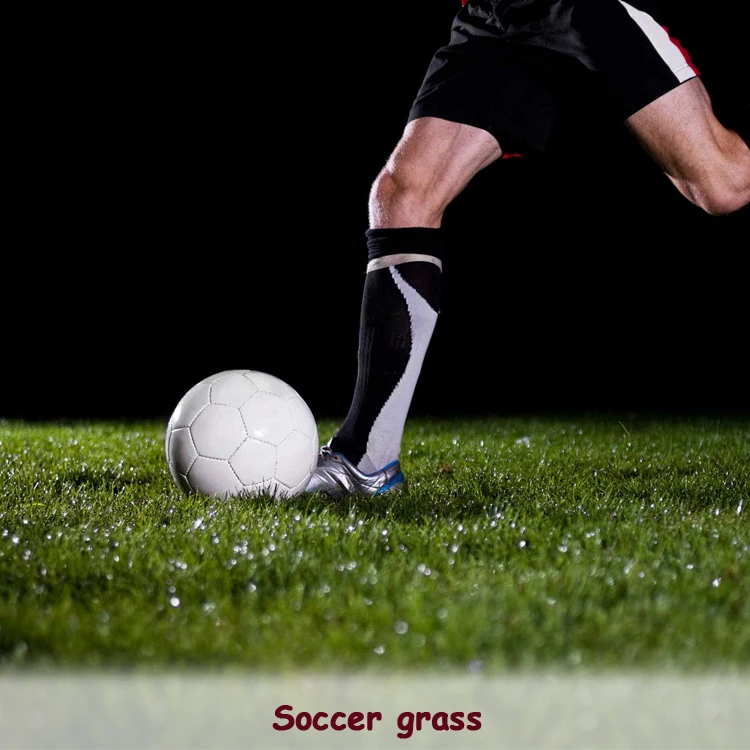 soccer grass.jpg