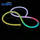 Rohs Rgb Led Neon Flex Rgb Led Flex Rgb Ip68 Ik08 Smd5050 Rgb Led Neon Flex