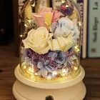 Best Gift to Girlfriend Preserved Eternity Roses in Glass with Bluetooth Speaker LED Light
