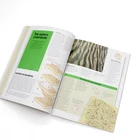 High quality cheap A4 adult magazine advertise booklet printing brochure services