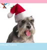 Holiday Gift Ideas for Pets ---pet Christmas hat
