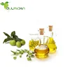 /product-detail/factory-manufacture-100-natural-and-pure-wholesale-olive-oil-of-superior-quality-extra-virgin-olive-oil-price-60304878309.html