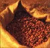 Cocoa