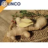 /product-detail/multi-purpose-selling-wholesale-health-yellow-ginger-powder-60457637679.html