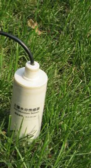 DS200 siol moisture sensor.png