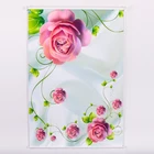 Beautiful Automatic Print Sunscreen Roller Window Shade