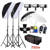 750W Studio Flash Lighting Kit Photography Strobe light 3x250W UK,EUR plug 110V,220V,