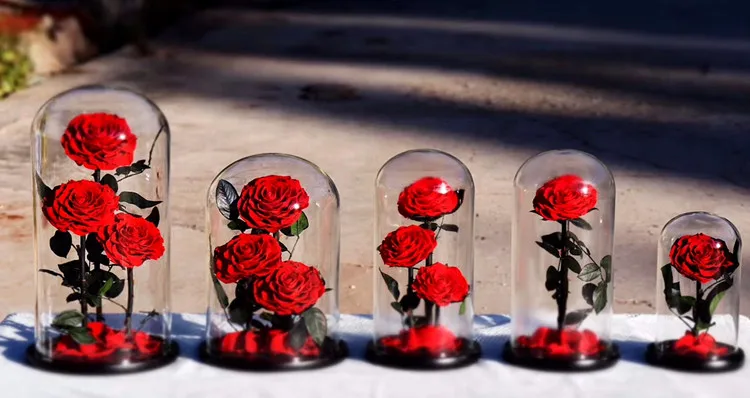 best valentines day gifts a grade rose preserved