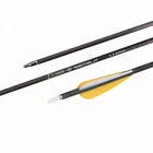 100% Carbon Arrow for Sale Plastic Vane 6.2mm High Quality Shooting Bow and Arrow
