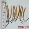 Dong chong xia cao Chinese Organic Natural Wild Cordyceps sinensis
