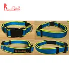 Premium soft adjustable reflective neoprene padded Nylon dog collar