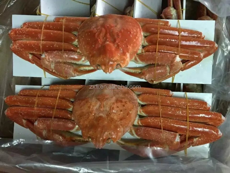 high quality russian frozen king crabs