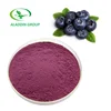 GMP best selling high quality blueberry extract powder in bulk