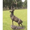 /product-detail/2016-new-product-small-size-bronze-deer-sculpture-on-wholesale-sale-60448363126.html
