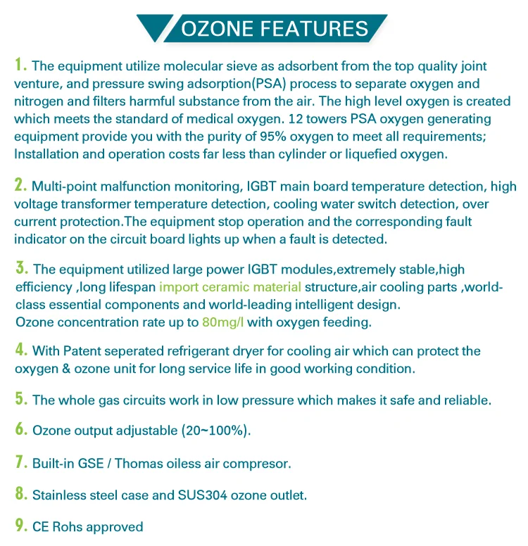 Ozone Generator for RAS