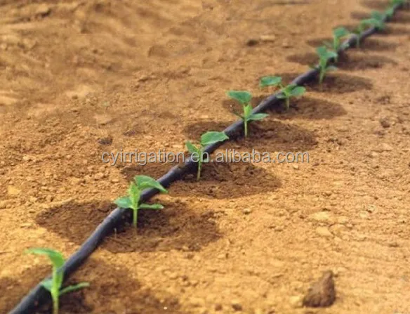 L'agriculture ruban d'irrigation goutte à goutte pour les types de système d'irrigation