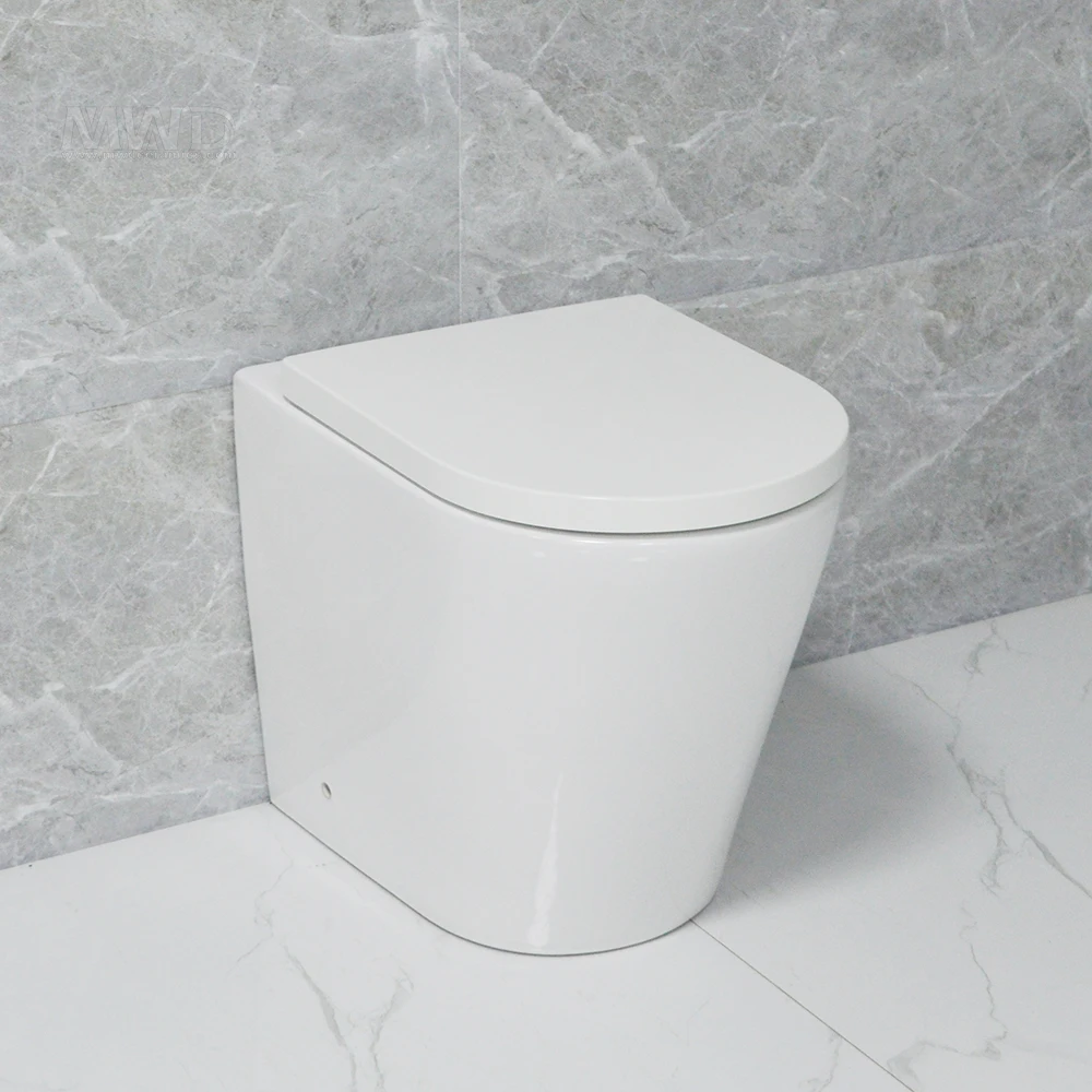 Watermark rimless back to wall floor mounted toilet  with close seat cover