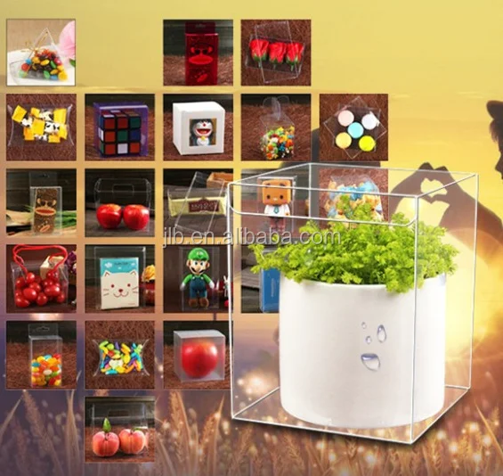 custom pvc plastic gift box packaging for plant