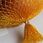 Environmental protection fruit mesh net bag packaging