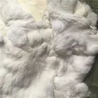 white Rex Rabbit Fur Skin Pelt For Garment