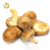 whole reishi 3g oyester mushroom 4-5cm dried shiitake mushrooms wild mushroom chips prices