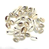 Hot Sell Natural Cowrie Sea Shell Beads Slice No Hole Loose in Pack For DIY Making Jewelry Accessory 15-18 mm