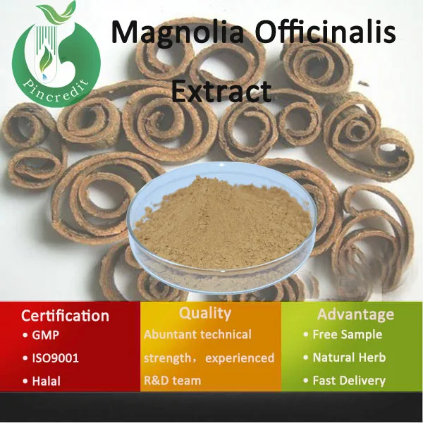 magnolia extract/magnolia extract powder/magnolia officinalis