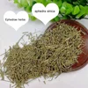Ma Huang Natural Dry Bulk Herb Chinese Traditional Medicine Herb Grass
