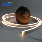Waterproof Flexible Led Strip Neon Light for Decoration
