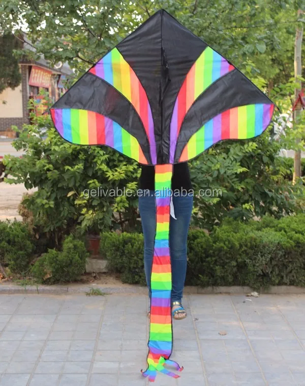 Chinese easy flying rainbow kite with irised tail  (1).jpg