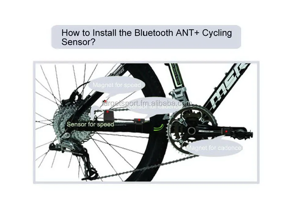 bike accessories distributor