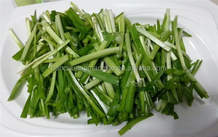 leafy vegetable cuttingmachine (12).JPG