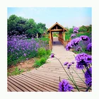 Art painting handmade bright clothes, flowers and Fields Road oil painting wall decoration